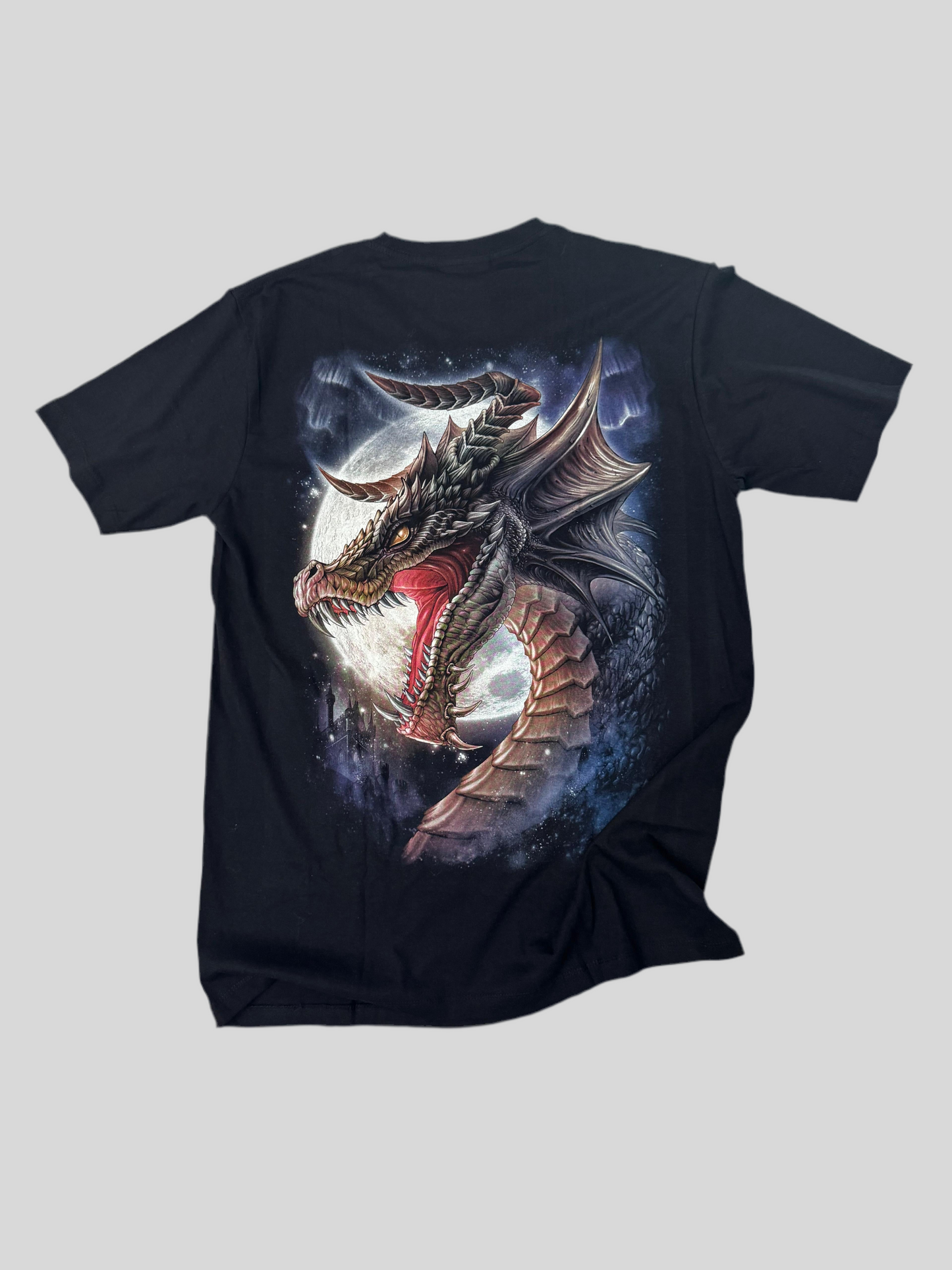 Dragon castle T-Shirt